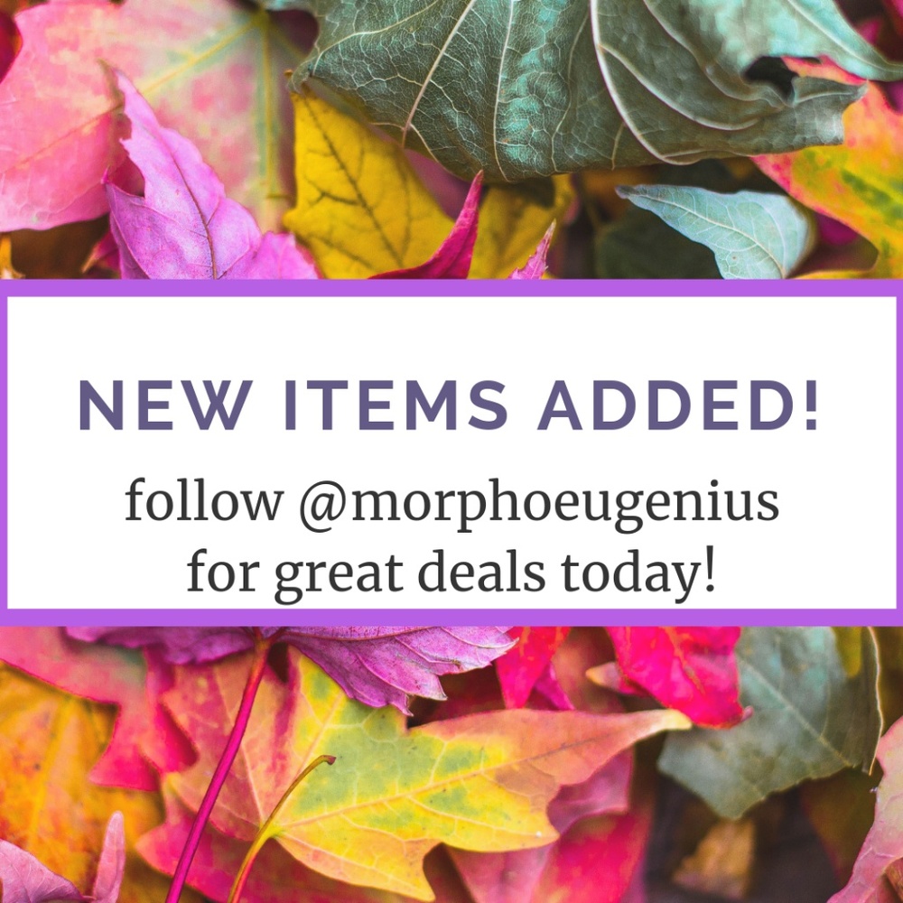 NEW Items Just Added for $15 or Less!